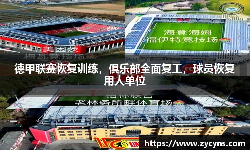 zoty中欧