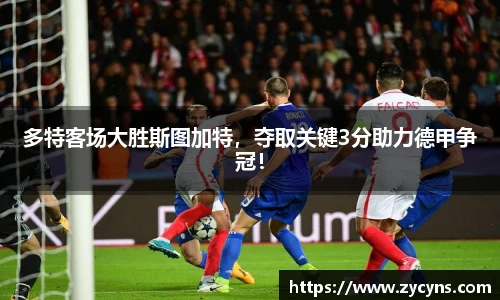 zoty中欧官方网站