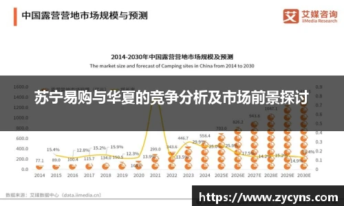 苏宁易购与华夏的竞争分析及市场前景探讨